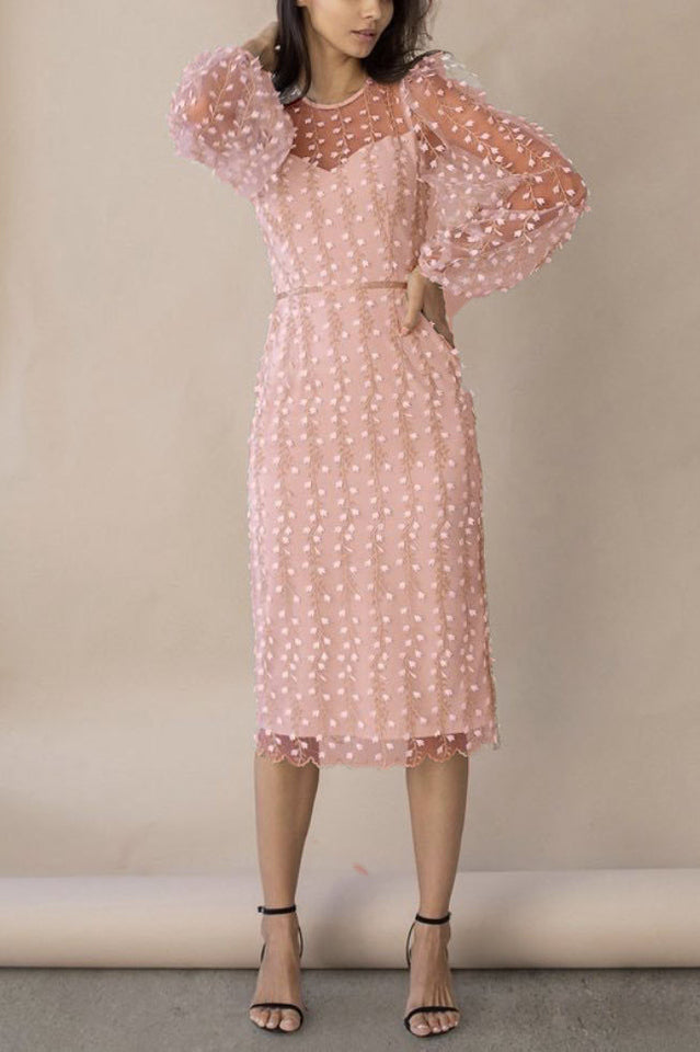 Embroidered Sheer Sleeves Fitted Dress
