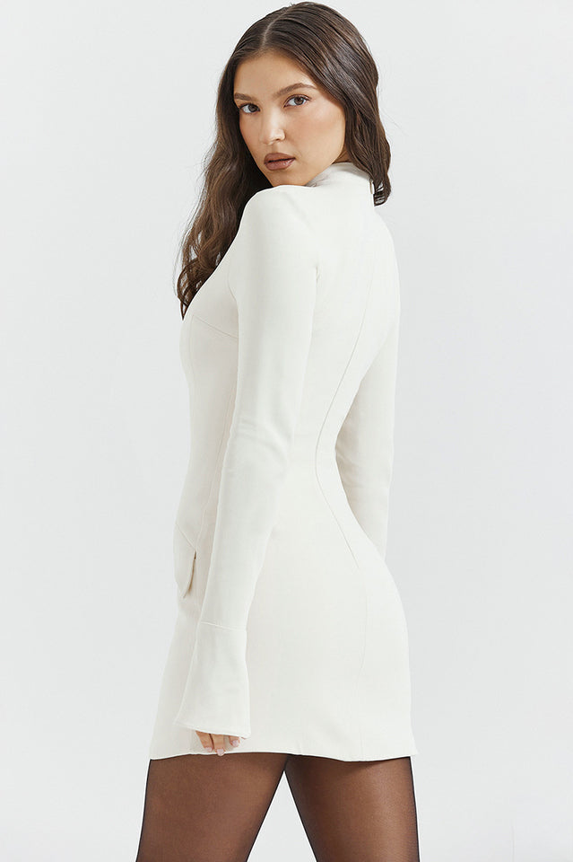 Solid Long Sleeves Bodycon Mini Dress