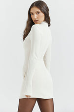 Solid Long Sleeves Bodycon Mini Dress