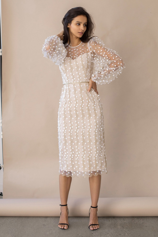 Embroidered Sheer Sleeves Fitted Dress