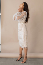 Embroidered Sheer Sleeves Fitted Dress