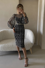 Embroidered Sheer Sleeves Fitted Dress