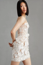 Beige Embroidery Floral Mini Dress