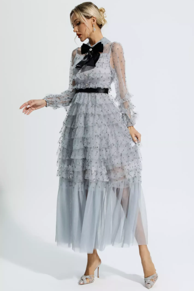 Tulle Mesh Polka Dot Maxi Dress