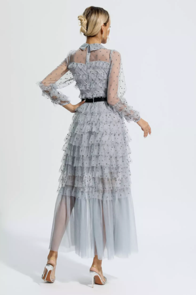 Tulle Mesh Polka Dot Maxi Dress