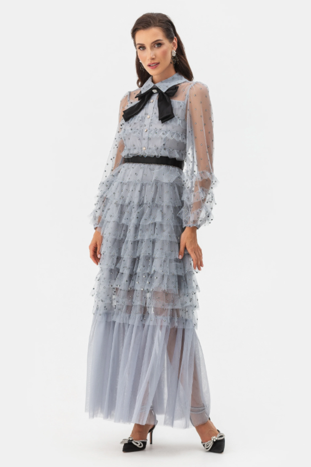Tulle Mesh Polka Dot Maxi Dress
