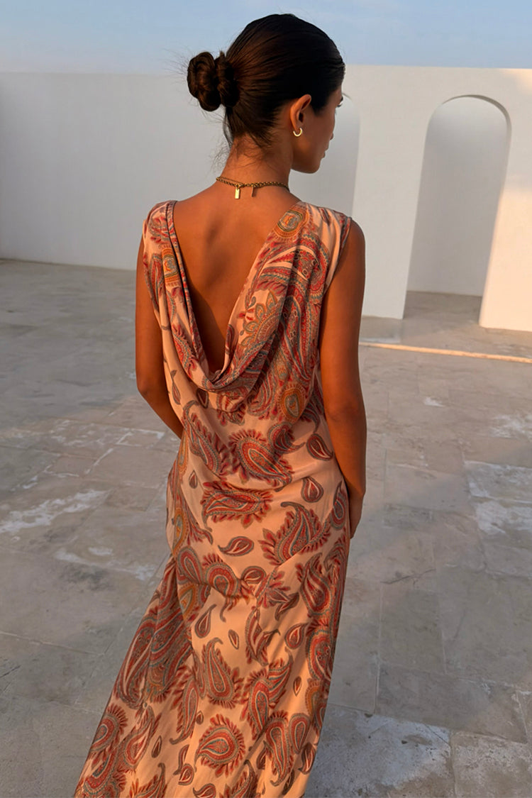 Paisley Print Drapery Back Maxi Dress