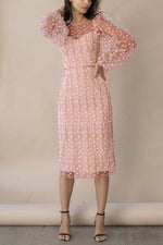 Embroidered Sheer Sleeves Fitted Dress