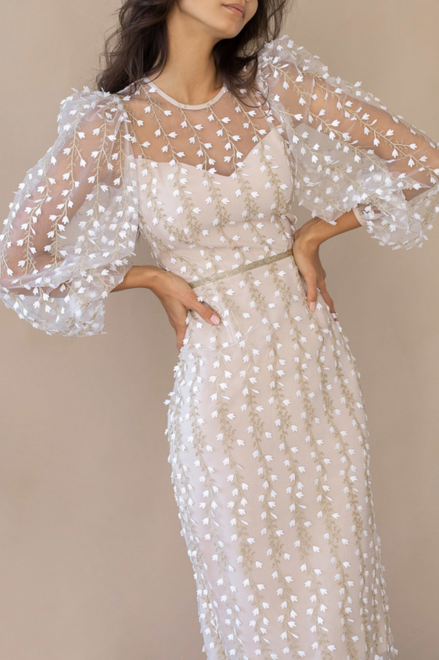 Embroidered Sheer Sleeves Fitted Dress