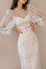 Embroidered Sheer Sleeves Fitted Dress