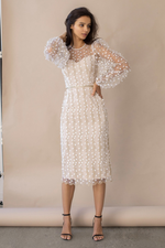 Embroidered Sheer Sleeves Fitted Dress