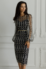 Embroidered Sheer Sleeves Fitted Dress