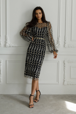 Embroidered Sheer Sleeves Fitted Dress