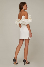 Ruffled Off Shoulder Satin Mini Dress