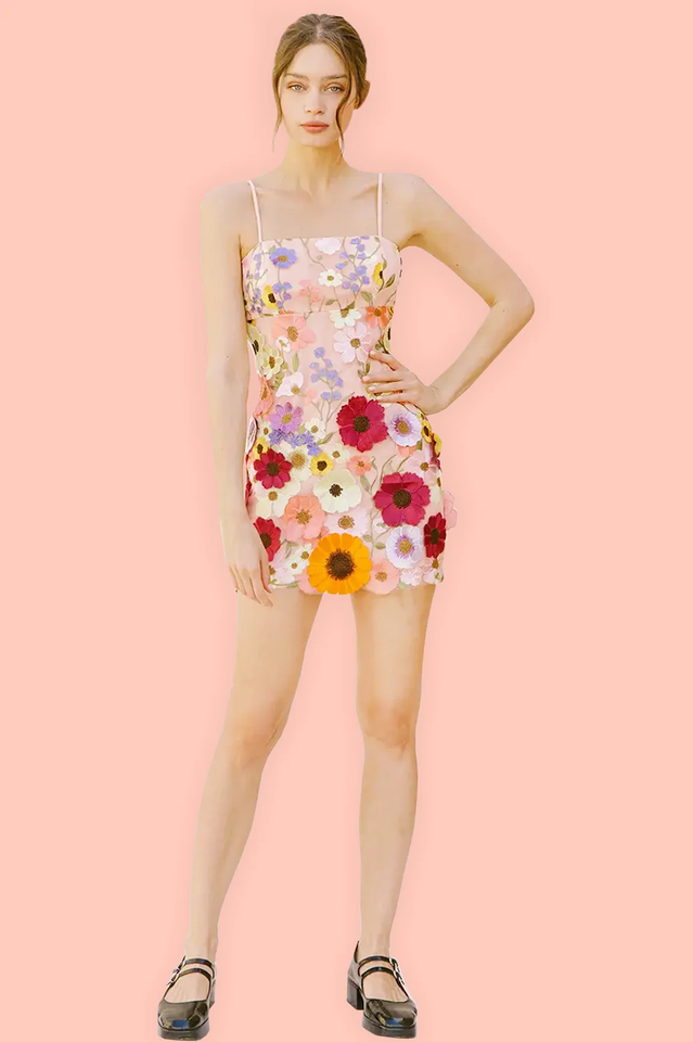 Colorful Floral Embroidered Mini Dress