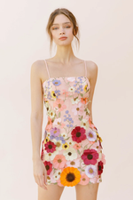 Colorful Floral Embroidered Mini Dress