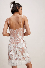 Beige Embroidery Floral Mini Dress