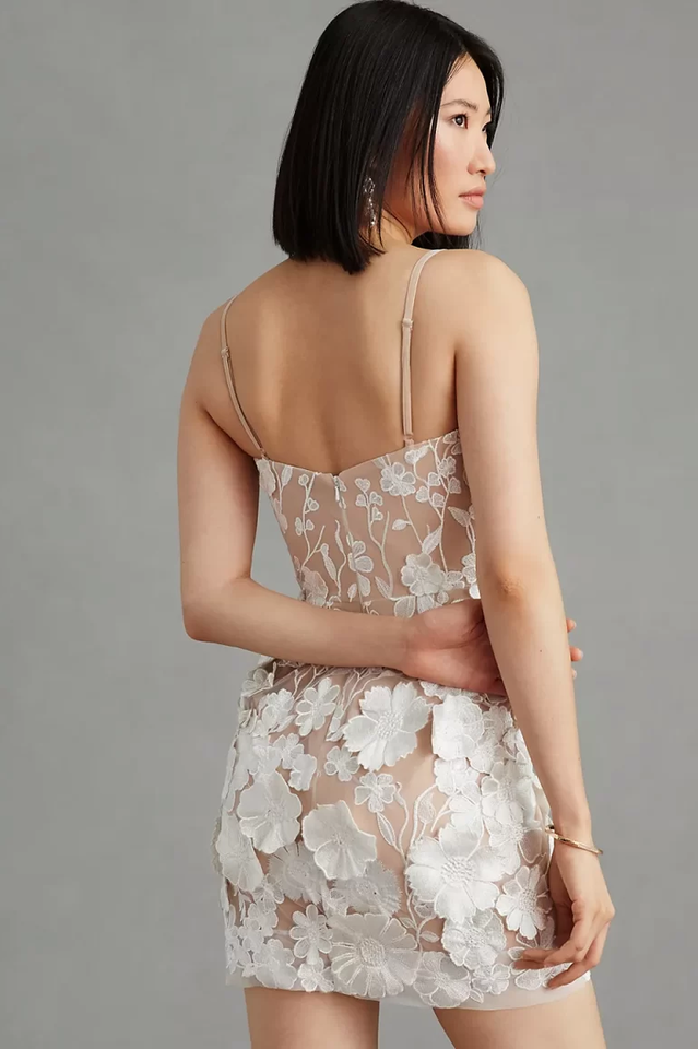 Beige Embroidery Floral Mini Dress