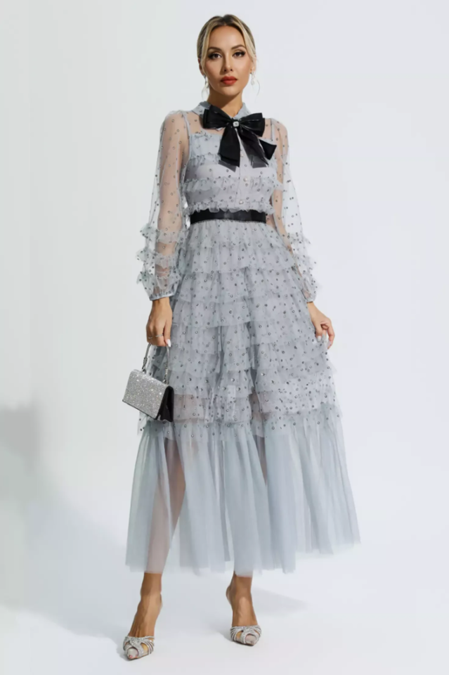 Tulle Mesh Polka Dot Maxi Dress