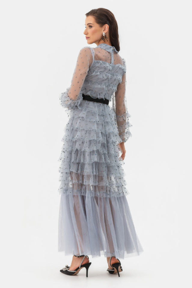 Tulle Mesh Polka Dot Maxi Dress