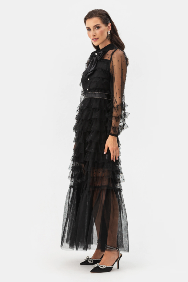 Tulle Mesh Polka Dot Maxi Dress